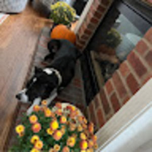 Meet your Posher, Rebecca